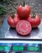 Сім-Сім (EZ 777) F1 - насіння томата, 250 шт, Libra Seeds 74942 фото 4