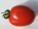 Адванс F1 - насіння томата, 25 000 шт, Nunhems 99374 фото 1