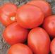Адванс F1 - насіння томата, 25 000 шт, Nunhems 99374 фото 2