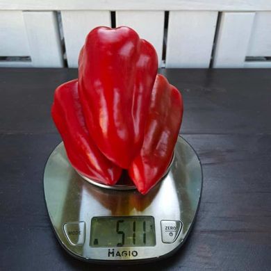 Феррарі F1 - насіння солодкого перцю, 500 шт, Sakata 47835 фото