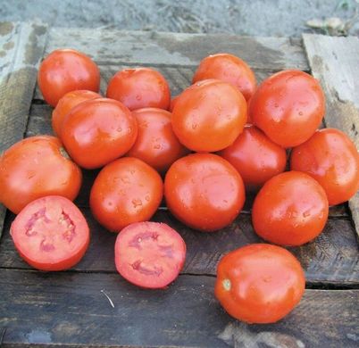 Вулкан F1 - насіння томата, 25 000 шт, Nunhems 99375 фото
