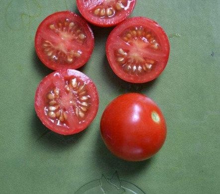 Старскрим F1 - семена томата, 1000 шт, Spark Seeds 03339 фото
