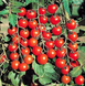 Старскрім F1 - насіння томата, 1000 шт, Spark Seeds 03339 фото 1