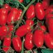 Інкас F1 - насіння томата, 1000 шт, Nunhems 99378 фото 1