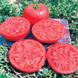 Альма (EZ 2104) F1 - насіння томата, 1000 шт, Libra Seeds 11670 фото 2