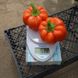 Оранж Босс F1 - семена сладкого перца, 500 шт, Spark Seeds 35211 фото 3