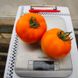 Солідо F1 - насіння томата, 500 шт, Spark Seeds 03333 фото 5