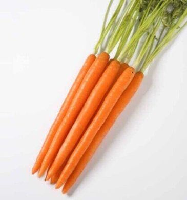 Ханиснекс F1 - семена моркови, 100 000 шт (1.4 - 1.6), Nunhems 38305 фото