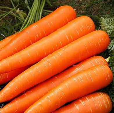Апперкат F1 - насіння моркви, 100 000 шт (1.8 - 2.0), Nunhems 50083 фото