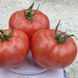 Сапфір F1 - насіння томата, 250 шт, Spark Seeds 81764 фото 1