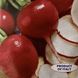 Гиганте Сикуло - семена редиса, Sais купить в Украине с доставкой