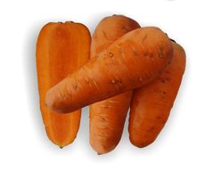 Морковь Шантанэ Роял, Agri Saaten описание, фото, отзывы
