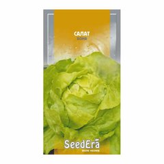 Бона - насіння салату, SeedEra опис, фото, відгуки