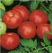 Топкапі F1 - насіння томата, 1000 шт, Hazera 20824 фото 1