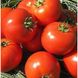Гонг F1 - семена томата, 5000 шт, Hazera 10401 фото 2