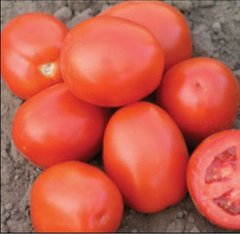 Рио Фуего - семена томата, 500 г, Lark Seeds 03338 фото