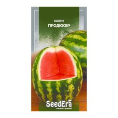 Продюсер - семена арбуза, SeedEra описание, фото, отзывы
