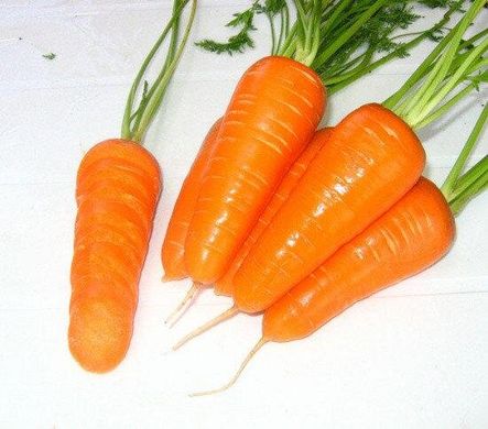 Морковь Шантанэ Редкор, 50 г, Agri Saaten 1077096998 фото