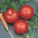 Ольга F1 - насіння томата, 1000 шт, Hazera 20825 фото 3