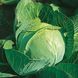Грин Бой F1 - семена капусты белокочанной, 1000 шт, Sakata 56744 фото 2