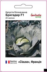 Бригадир F1 - семена капусты белокочанной, Clause (Садыба Центр) описание, фото, отзывы