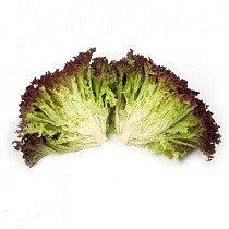 Кавернет - насіння салату, 5000 шт (драже), Rijk Zwaan 36951 фото