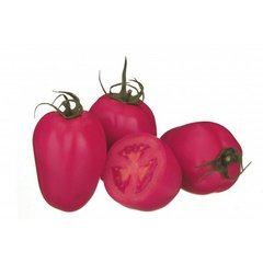 Пінк Піонер F1 - насіння томата, 500 шт, Sakata 35895 фото