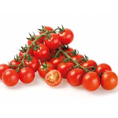 Сакура F1 - насіння томата, 250 шт, Enza Zaden 11230 фото