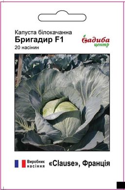 Бригадир F1 - насіння капусти білокачанної, 20 шт, Clause (Садиба Центр) 923365577 фото