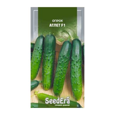 Атлет F1 - насіння огірка, 10 шт, SeedEra 65341 фото