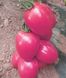 Пінк Піонер F1 - насіння томата, 500 шт, Sakata 35895 фото 2