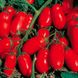 Інкас F1 - насіння томату, 10 шт, Nunhems (Пан Фермер) 97099 фото 4