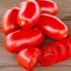 Інкас F1 - насіння томата, 1000 шт, Nunhems 99378 фото 3