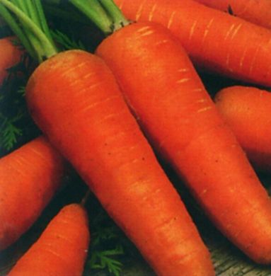 Болтекс - семена моркови, 500 г, Clause 06326 фото