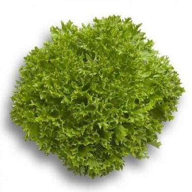 Експертайз - насіння салату, 1000 шт (драже), Rijk Zwaan 1094977294 фото
