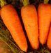 Болтекс - семена моркови, 500 г, Clause 06326 фото 4