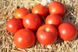 Волна F1 - насіння томата, 1000 шт, Hazera 20826 фото 1