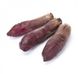 Ломако - семена свеклы, 25 000 шт (3.50-4.25), Rijk Zwaan 58307 фото 1