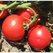 Волна F1 - насіння томата, 1000 шт, Hazera 20826 фото 2