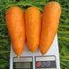 Болтекс - семена моркови, 500 г, Clause 06326 фото 2