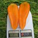 Болтекс - семена моркови, 500 г, Clause 06326 фото 1