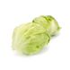 Дьюрнас - насіння салату качанного, 5000 шт (драже), Rijk Zwaan 11231 фото 3