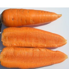 Шантане - насіння моркви, 500 г, Clause 82084 фото