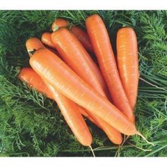 Брилианс F1 - семена моркови, 100 000 шт (1.6 - 1.8), Nunhems 15848 фото