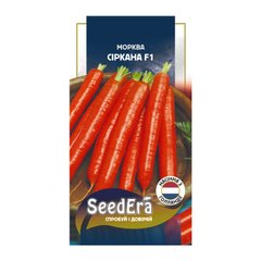 Сіркана F1 - насіння моркви, 400 шт, Nunhems (SeedEra) 65912 фото