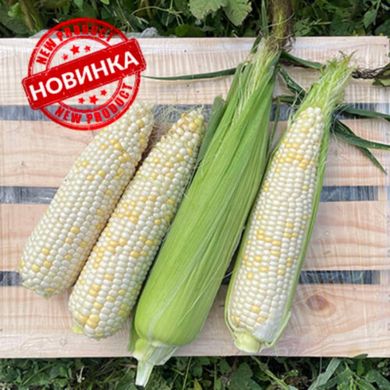 Вайт Туз F1 - семена кукурузы белой, 2500 шт, Spark Seeds 24048 фото