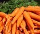 Бріліанс F1 - насіння моркви, 100 000 шт (1.6 - 1.8), Nunhems 15848 фото 2