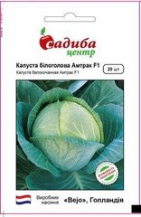 Амтрак F1 - семена капусты белокочанной, Bejo (Садыба Центр) описание, фото, отзывы