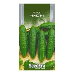 Фенікс 640 - насіння огірка, SeedEra опис, фото, відгуки