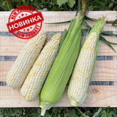 Вайт Туз F1 - насіння кукурудзи білої, 25 000 шт, Spark Seeds 24049 фото